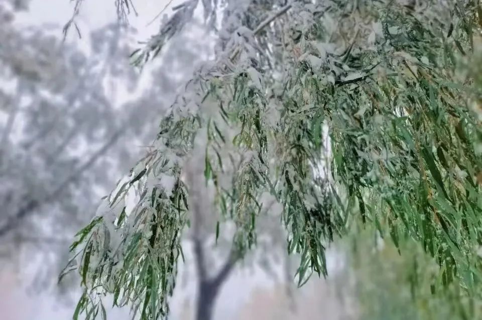 19EE4